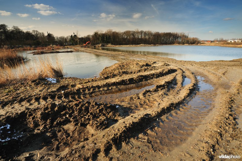 Schiphoekpolder