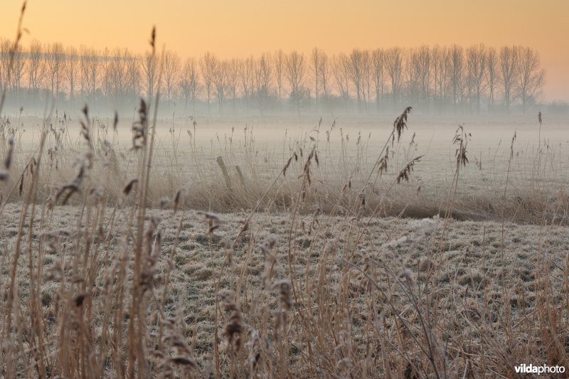 Weijmeerbroek