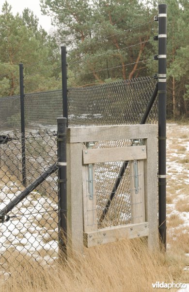 Wildpassage in raster Hoge Veluwe