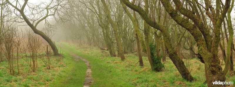 Park in het domein Raversijde