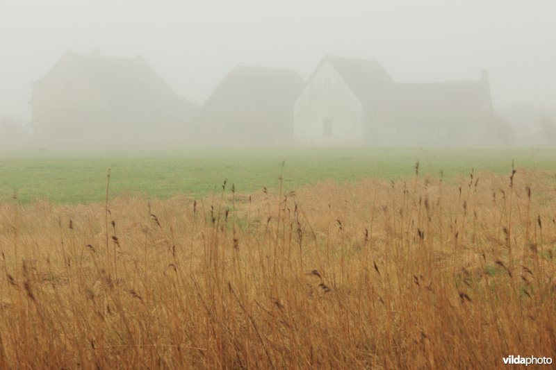 Archeologische site Walraversijde