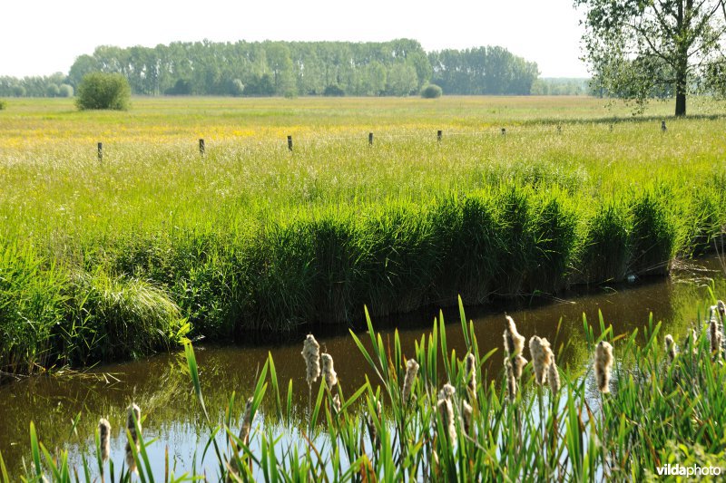 Kalkense Meersen: beeldenstroom reeks 3