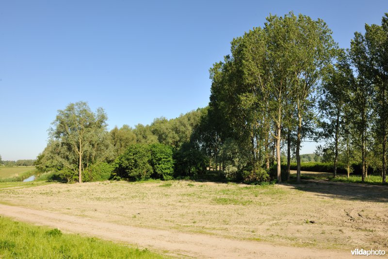 Kalkense Meersen: beeldenstroom reeks 3