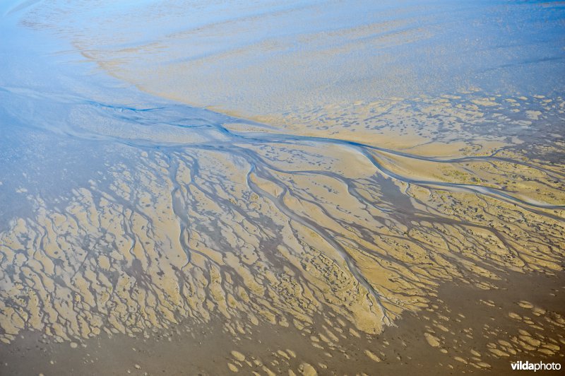 Getijden op het Wad leggen uitgestrekte slikken bloot