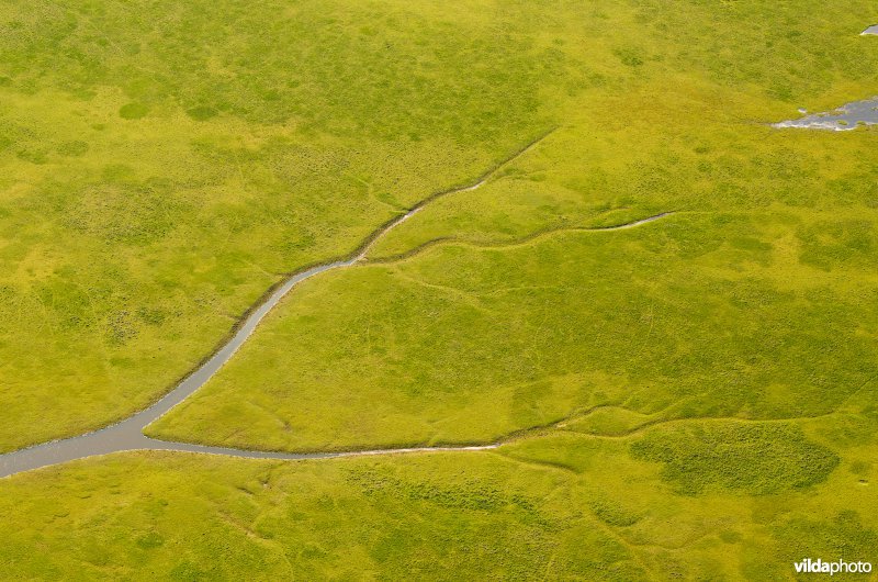 Getijdenkreek in Lauwersmeer