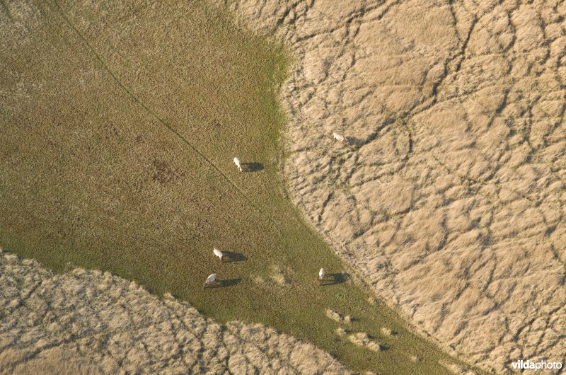 Nationaal Park Lauwersmeer