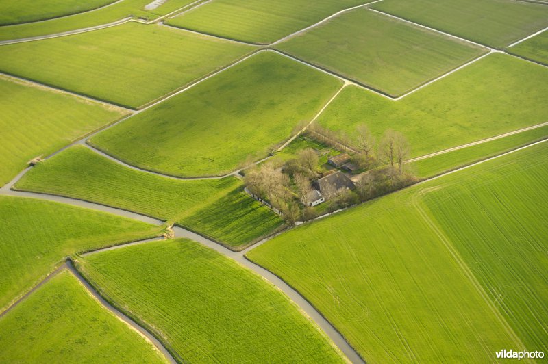 Boerderij in weidelandschap