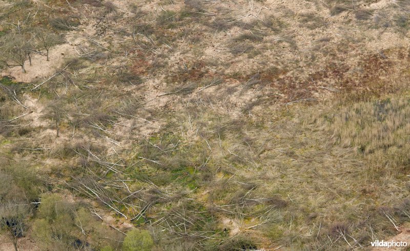 Opengekapt natuurgebied