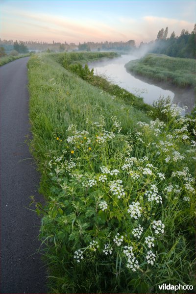 Kleine Nete