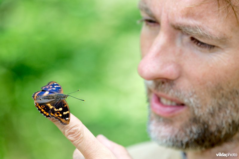 Vlinder op een vinger