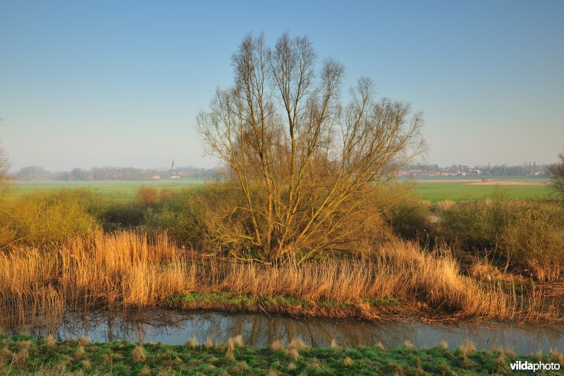Tielrodepolder