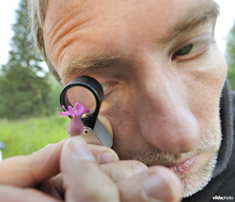 Rollin onderzoekt een bloempje