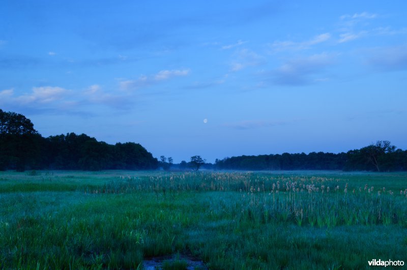 Beekdallandschap Drentse Aa