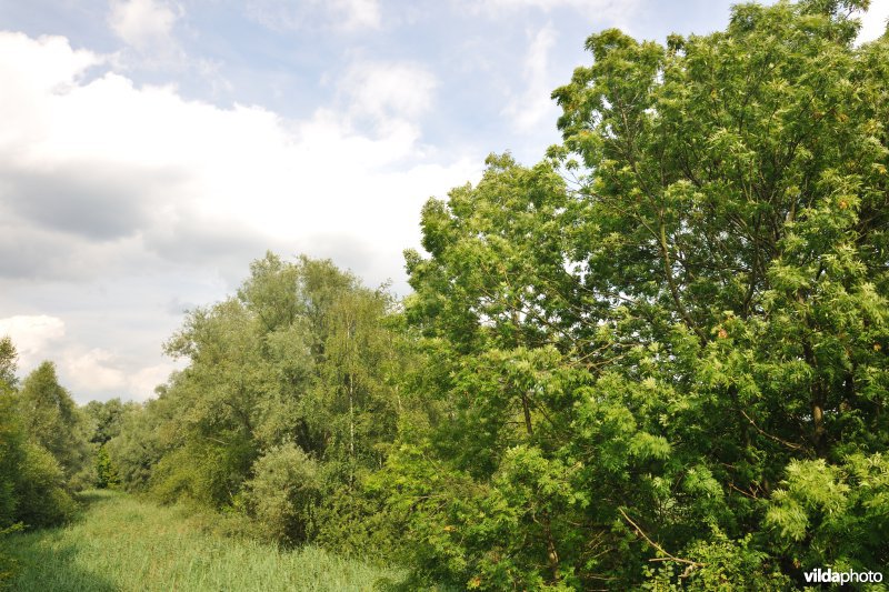 Noordkasteel