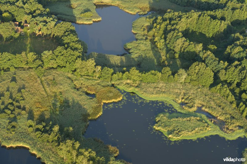 Natuurreservaat De Ballewijers