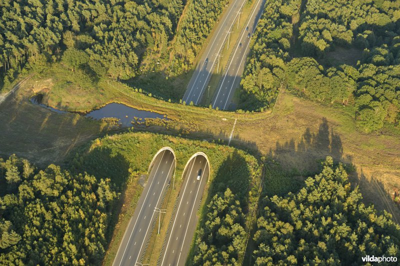 Ecoduct Kikbeek