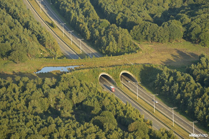 Ecoduct Kikbeek