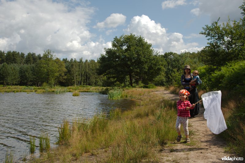 Op stap in de natuur