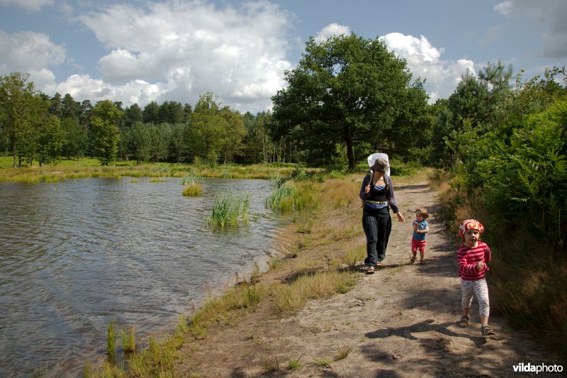 Op stap in de natuur