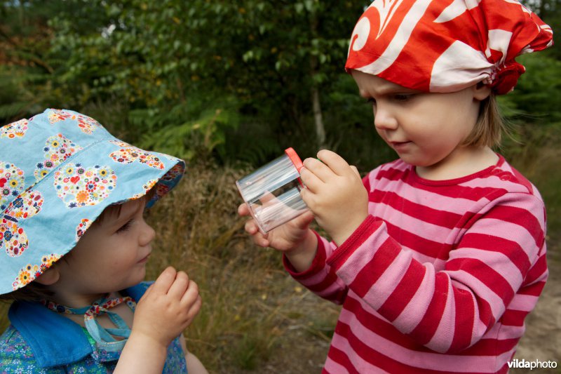 Twee meisjes bekijken een vlinder