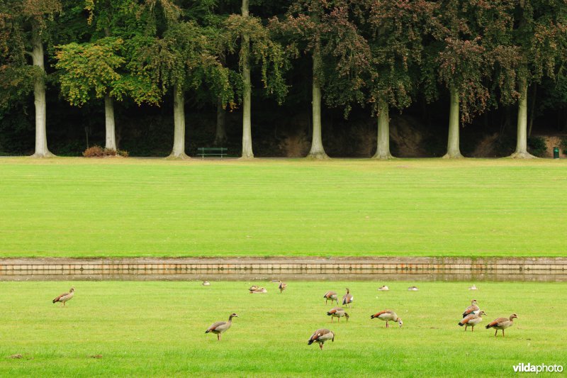 Park Tervuren