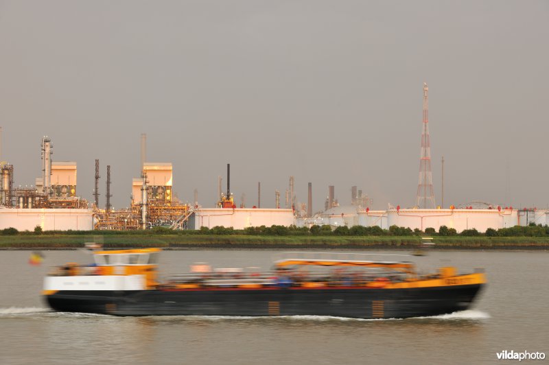 Vrachtboot op de Schelde