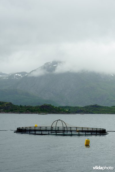 Zalmkwekerij in fjord