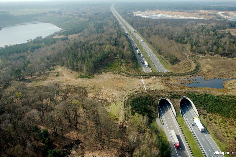 Ecoduct Kikbeek in de Mechelse heide