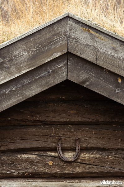 Noors huis met groendak