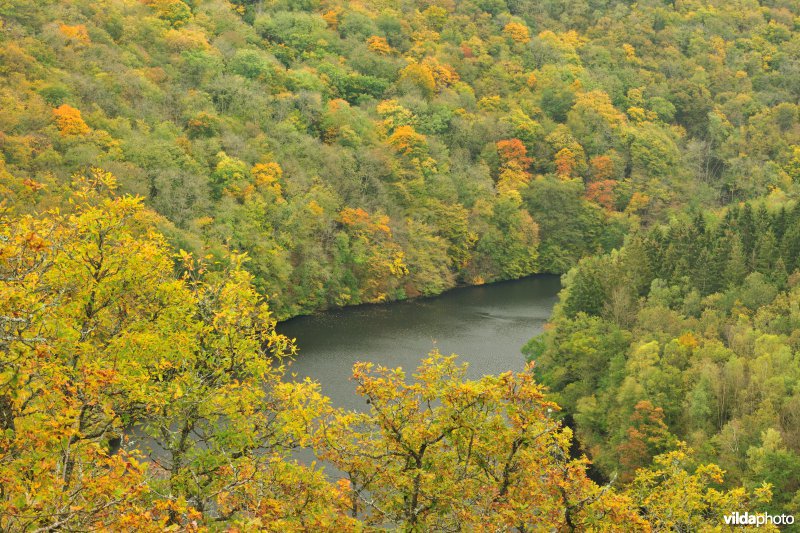 Vallei van de Ourthe