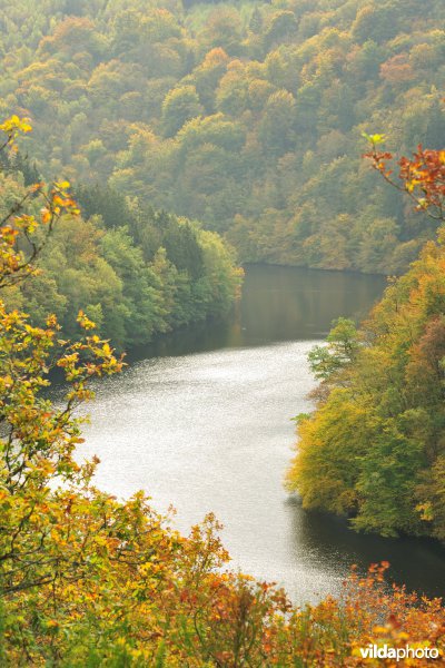 Vallei van de Ourthe