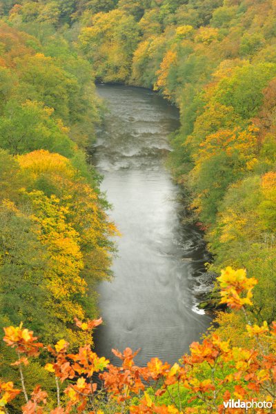 Vallei van de Ourthe