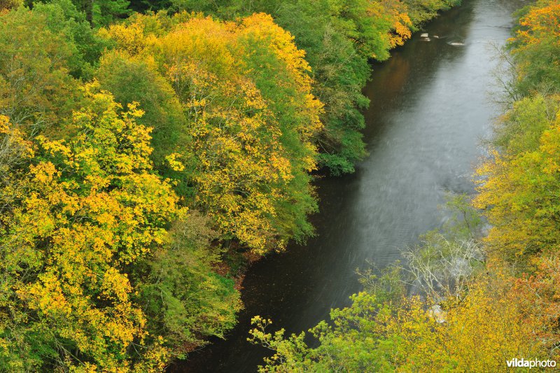 Vallei van de Ourthe