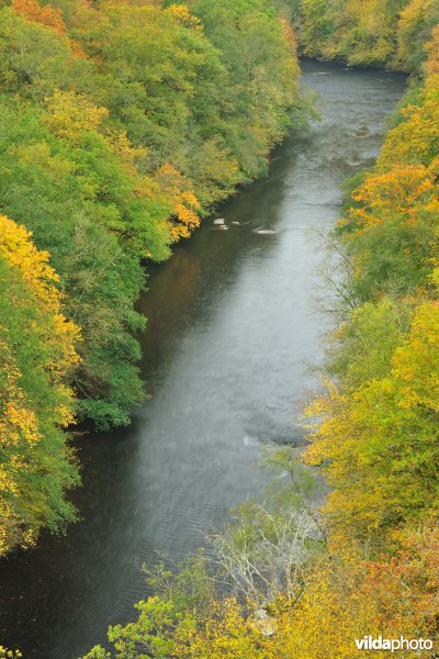 Vallei van de Ourthe