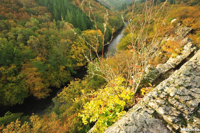 Vallei van de Ourthe