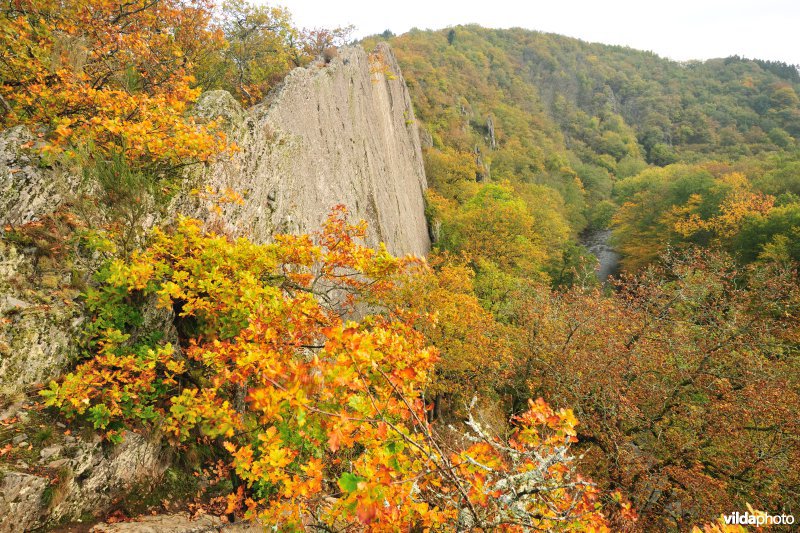 Vallei van de Ourthe