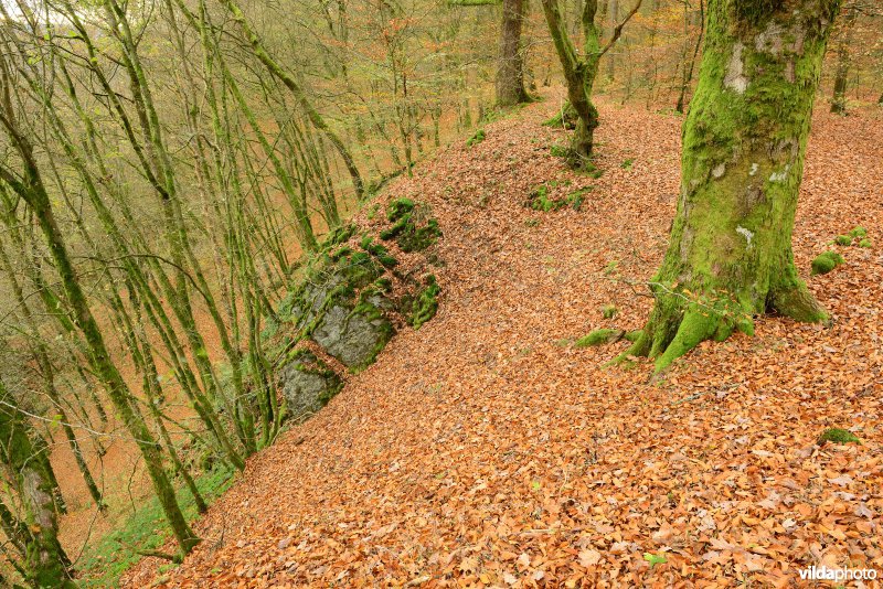 Vallei van de Ourthe