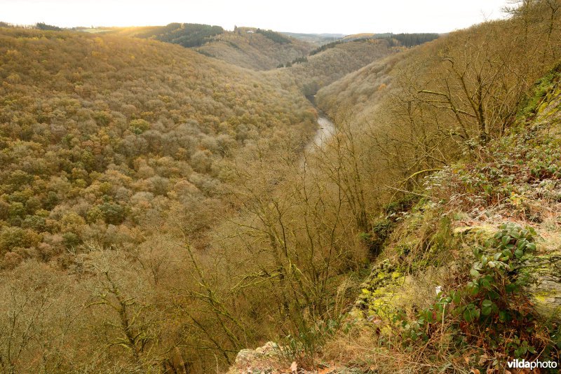 Vallei van de Ourthe