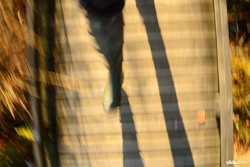 Wandelen in de Hoge Venen