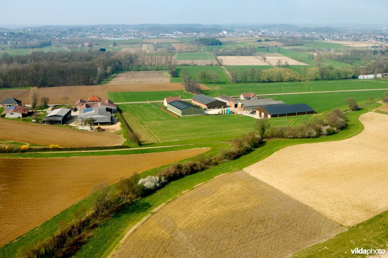 Holle weg in een landbouwlandschap