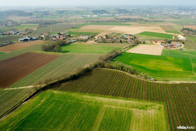 Holle weg in een landbouwlandschap