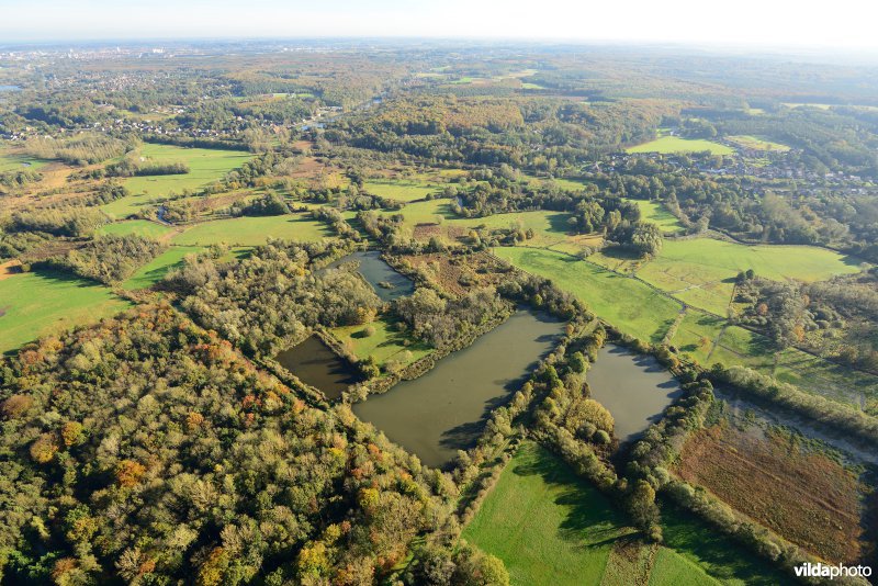 Natuurreservaat de Doode Bemde