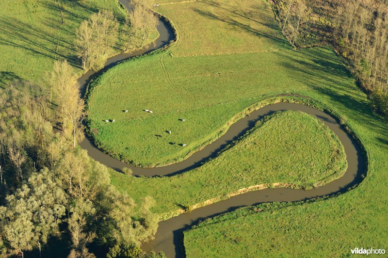 Natuurreservaat de Doode Bemde