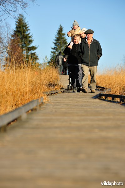 Wandelen in de Hoge Venen