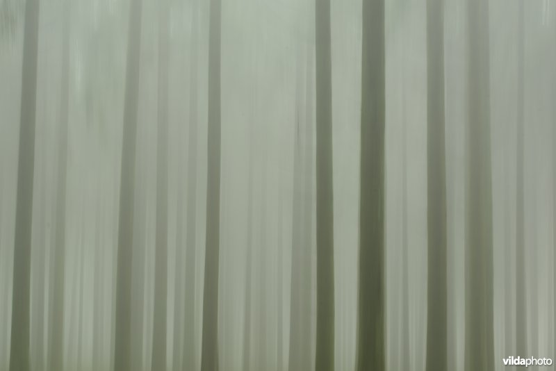 Croix-Scaille
