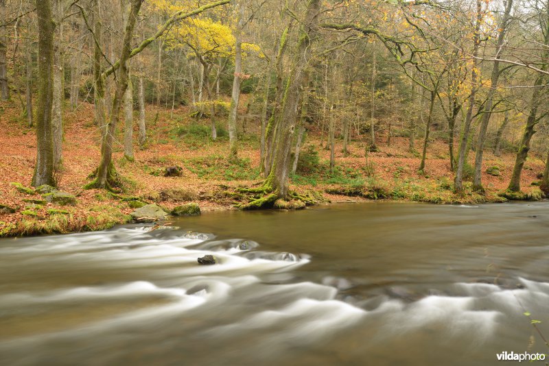 Vallei van de Ourthe