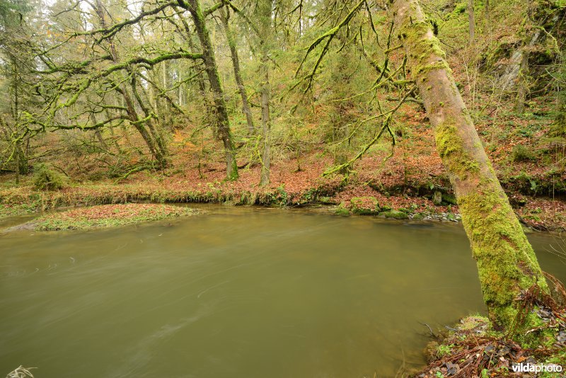 Vallei van de Ourthe