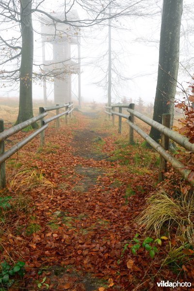 Plateau des Tailles