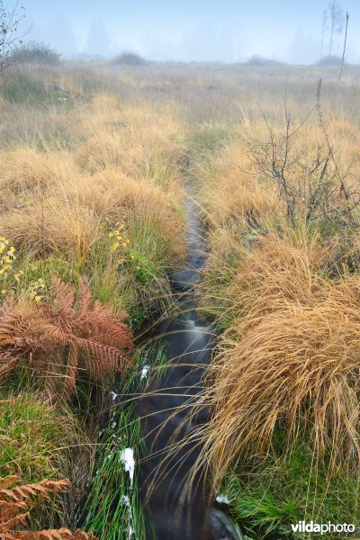 Plateau des Tailles