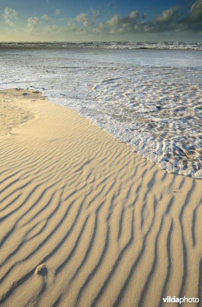 Noordzeestrand